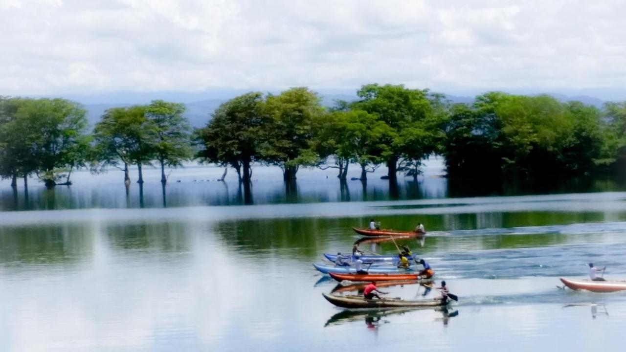 Peacock Riverside Udawalawe Ngoại thất bức ảnh